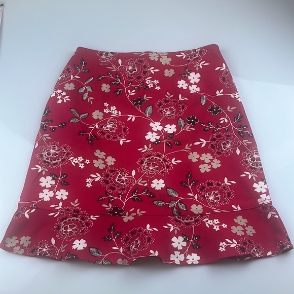 Briggs New York Skirt